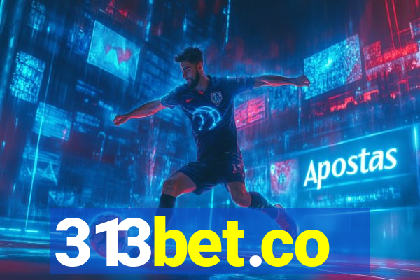 313bet.co