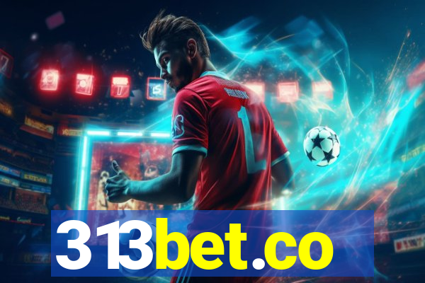 313bet.co