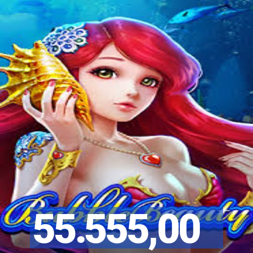 55.555,00