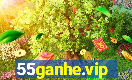 55ganhe.vip