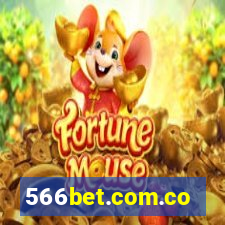 566bet.com.co