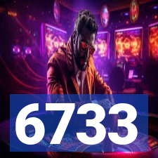 6733