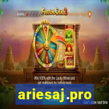 ariesaj.pro