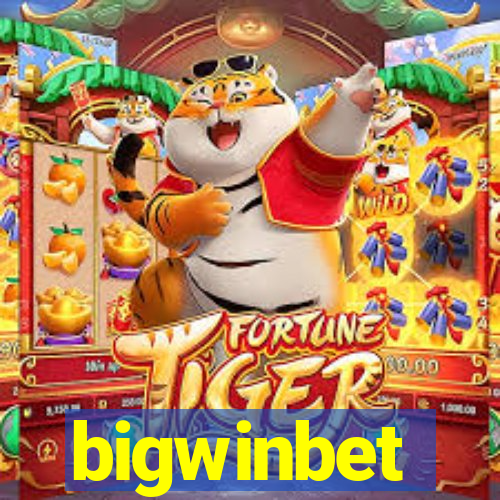 bigwinbet