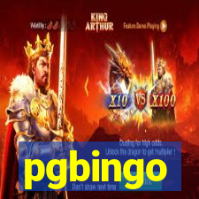 pgbingo