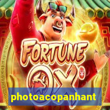 photoacopanhante