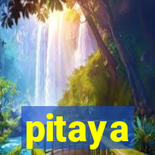 pitaya-bet