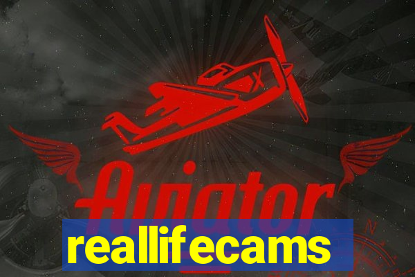 reallifecams