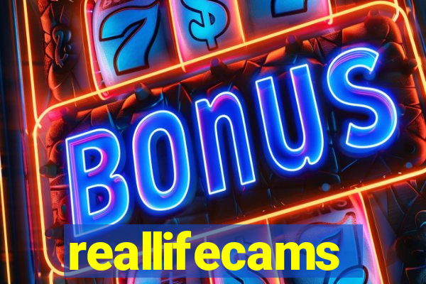 reallifecams