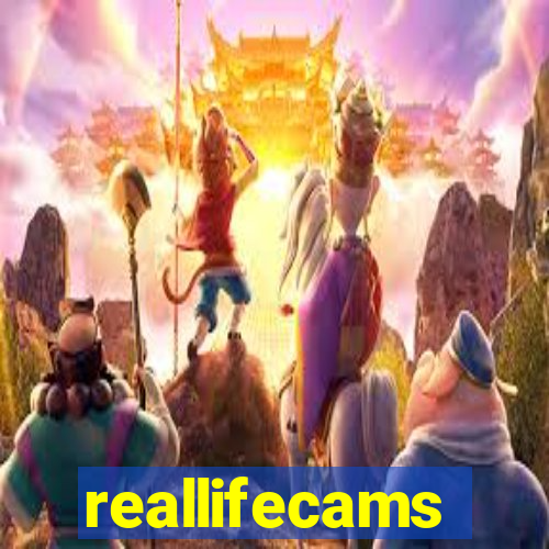 reallifecams