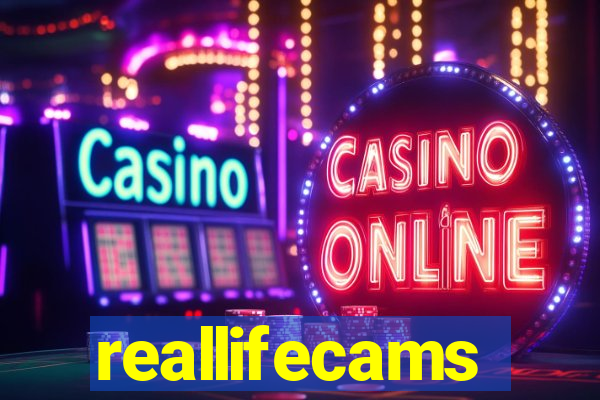 reallifecams