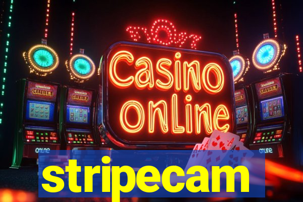 stripecam