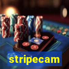 stripecam