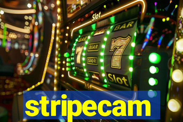 stripecam