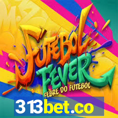 313bet.co
