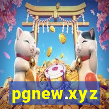 pgnew.xyz