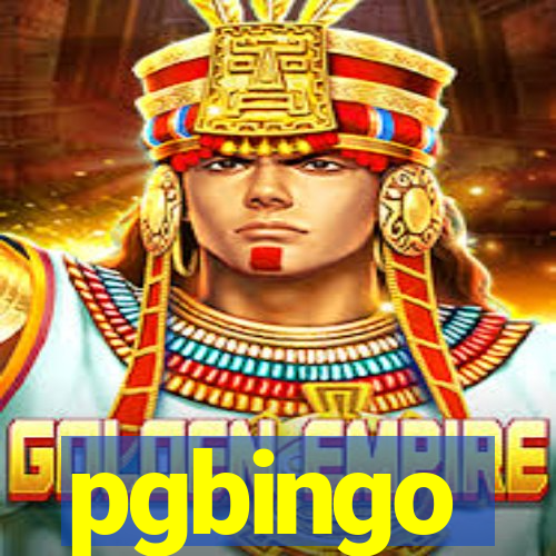 pgbingo