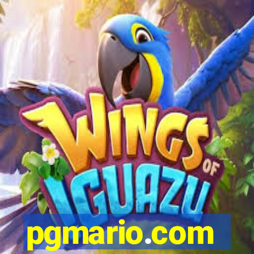 pgmario.com
