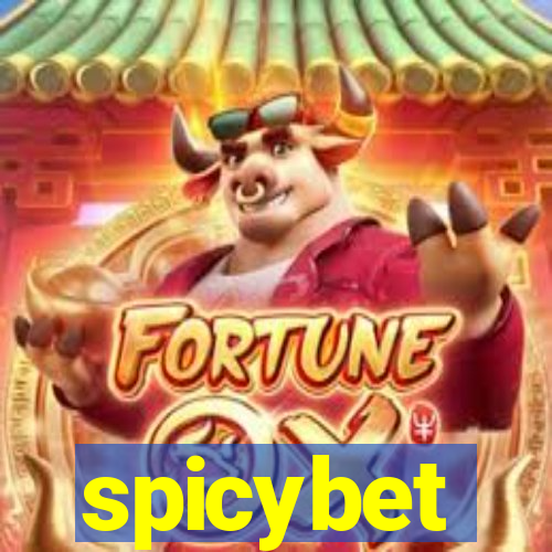 spicybet-2.com