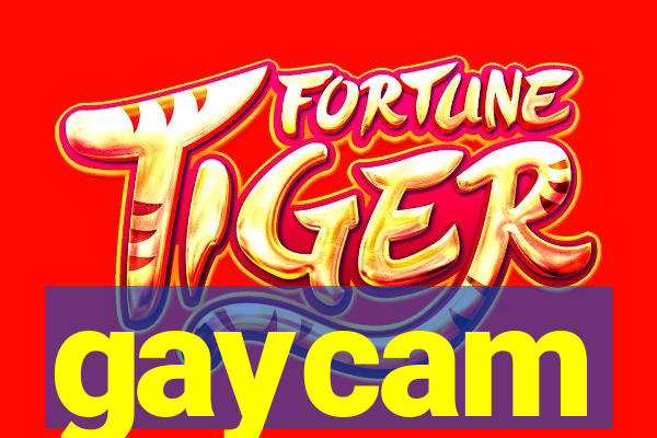 gaycam
